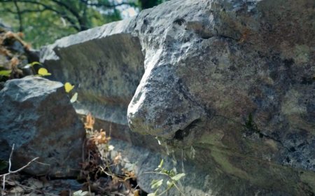 Termessos Antik Kenti’nde Tarihi Ayıp: 2 Bin Yıllık Aslan Başlı Çörten Yok Edildi!