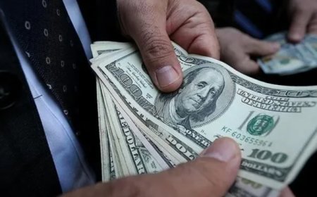 Rezervlerde Dev Artış: Son Yılların En Yüksek Seviyesi.