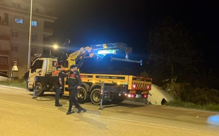 Antalya'nın Alanya ilçesinde hafif ticari kamyonetin şarampole yuvarlanması sonucu 1 kişi yaralandı.