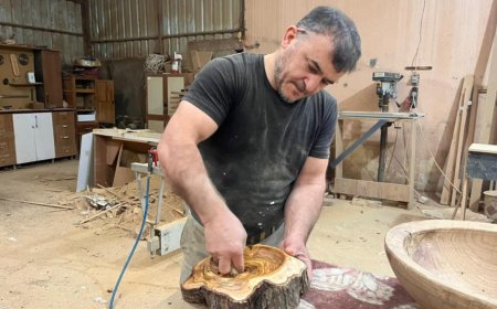 Alanya’da Zeytin Ağacının Sanatla Dansı: Çürümeye Yüz Tutan Ağaçlar Hayat Buluyor.