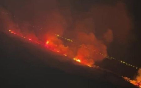 Manavgat'ta İtfaiyeye "Yargı" Engeli: Kapatılan Yol Yangına Müdahaleyi Geciktirdi