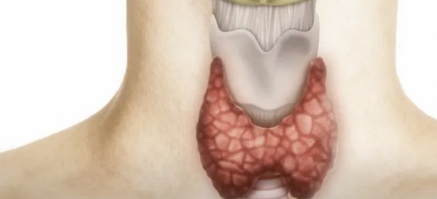 DİKKAT! Uzmanından Önemli Uyarı: "Tiroit Bozuklukları Enerji Dengesi İçin Tehlike"