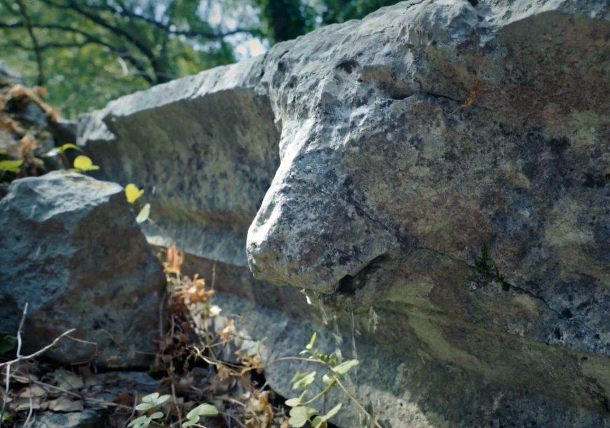 Termessos Antik Kenti’nde Tarihi Ayıp: 2 Bin Yıllık Aslan Başlı Çörten Yok Edildi!