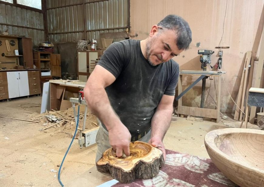 Alanya’da Zeytin Ağacının Sanatla Dansı: Çürümeye Yüz Tutan Ağaçlar Hayat Buluyor.