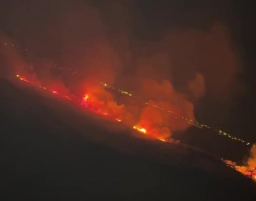 Manavgat'ta İtfaiyeye "Yargı" Engeli: Kapatılan Yol Yangına Müdahaleyi Geciktirdi