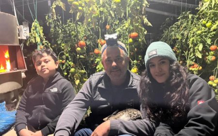 Serik’te Türkülerle Don Nöbeti: Bir Elde Gitar Diğerinde Derece!