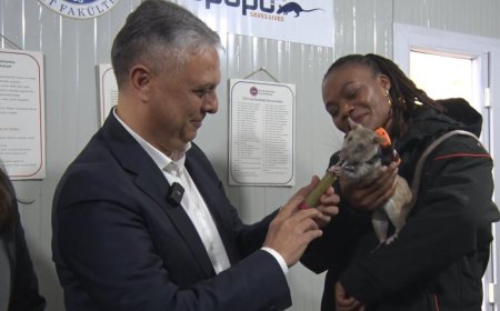 Türkiye’de Bir İlk: Muratpaşa’da "Yüksek Teknolojili" Fare Eğitimi