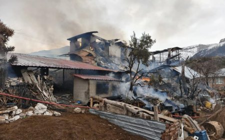 Gündoğmuş’ta Can Pazarı: Hayvanlarını Kurtarmak İsterken Canından Oluyordu!