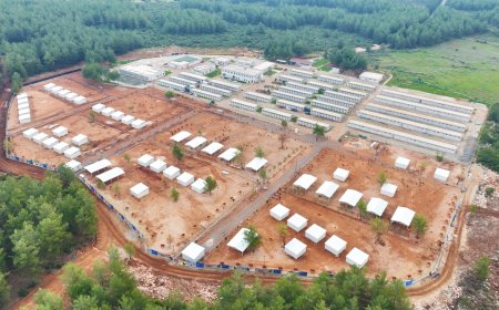 Antalya’da Can Dostlara 84 Dönümlük Dev Yuva: Kapasite İki Katına Çıkarıldı