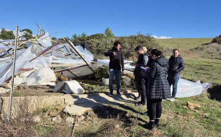 Manavgat’ta Hortumun Yaraları Sarılıyor: Büyükşehir Ekipleri Sahada