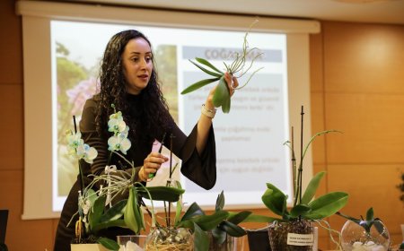 Çiçek Severler Masada Değil Uygulamada Öğrendi: Büyükşehir’den Orkide Rehberi