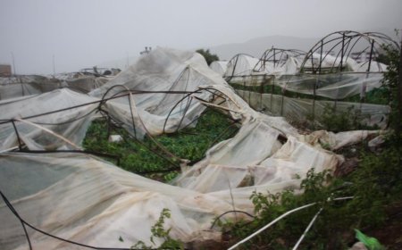 Antalya Kumluca'yı Hortum Vurdu: Seralar ve Evler Hasar Gördü
