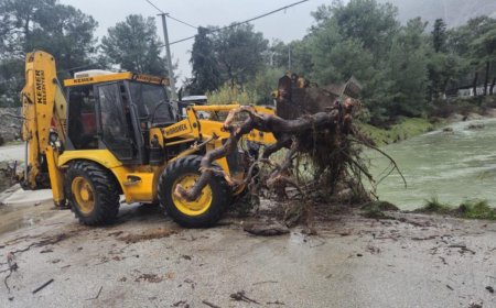 Kemer'de "Tomruk" Seferberliği: Köprülerin Tıkanması Önlendi