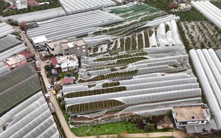 Finike’de Hortum Dehşeti: Büyükşehir Ekipleri Hasar Tespiti İçin Sahada
