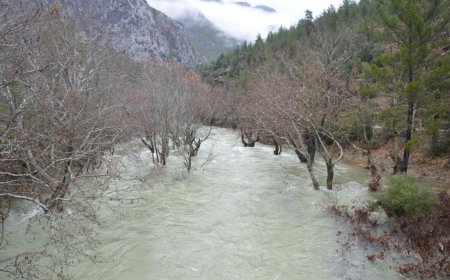 Antalya’daki Yağışlar Meyvesini Verdi: Yeraltı Suları ve Irmaklar Coştu
