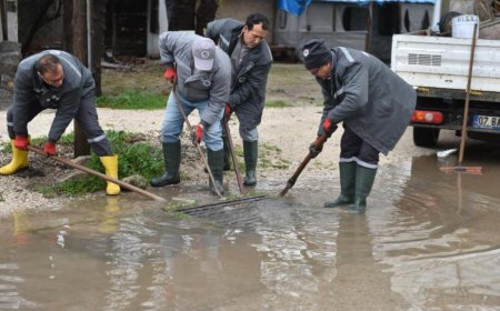 Kepez Belediyesi 340 Personelle Sahadaydı: 150 İhbarın Tamamına Müdahale