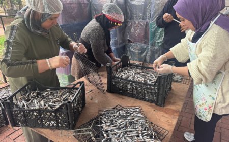 Antalya'da Karadeniz Esintisi: Yağmur Altında Balık-Ekmek Kuyruğu!