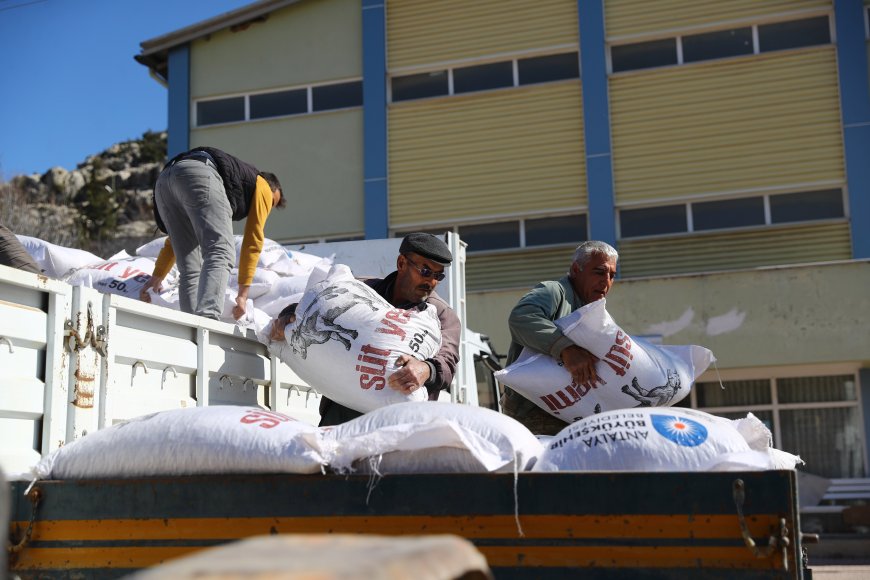 Antalya’da 2025 Yılı Hayvancılık Bilançosu: 503 Ton Yem, Binlerce Sağlık Kontrolü