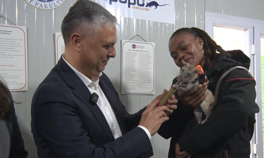 Türkiye’de Bir İlk: Muratpaşa’da "Yüksek Teknolojili" Fare Eğitimi