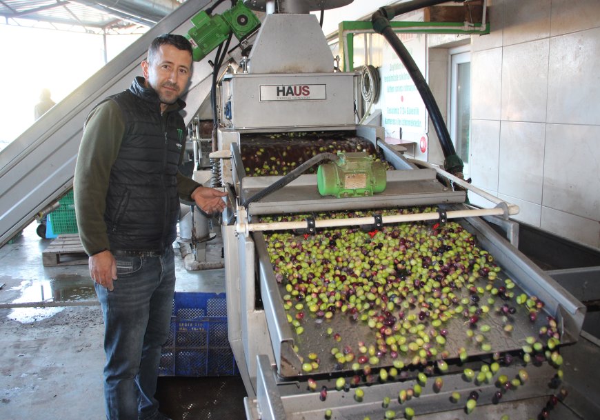 Kumluca Ziraat Odası Başkanı Kökce: "Bu Yıl Ürettiğimiz Yağ Tüm Türkiye’ye Yeter"