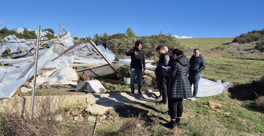 Manavgat’ta Hortumun Yaraları Sarılıyor: Büyükşehir Ekipleri Sahada
