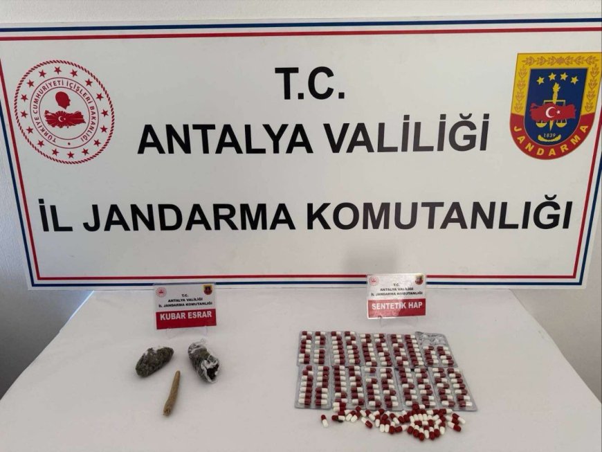 Gazipaşa’da Jandarmadan Uyuşturucu Darbesi: 9 Gözaltı