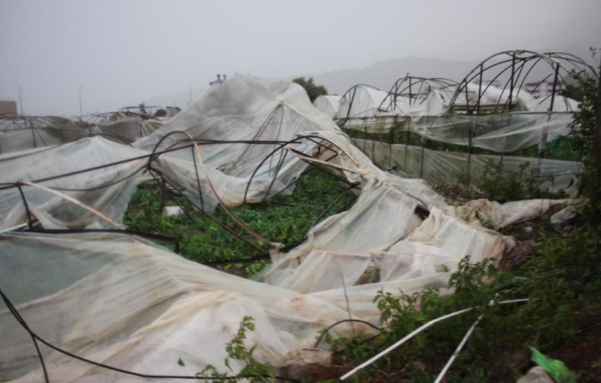 Antalya Kumluca'yı Hortum Vurdu: Seralar ve Evler Hasar Gördü