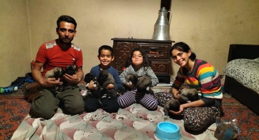 Hortumda Annesiz Kalan 8 Yavruya "Gök" Ailesi Kanat Gerdi