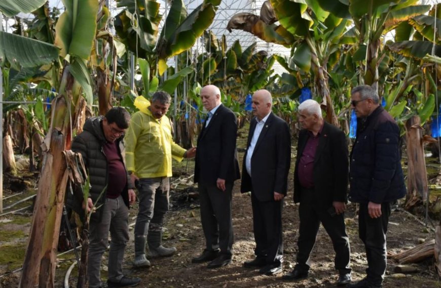 Manavgatlı Üreticinin Sorunu Ankara'ya Taşınıyor