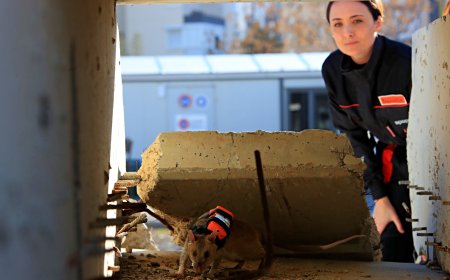 Enkaz Altında Yeni Nesil Arama: GPS'li ve Kameralı "Kahraman Fareler" Göreve Hazır