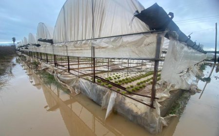 Aksu’da Tarım Felaketi: 20 Günde 4 Sel, Milyonlarca Lira Zarar!