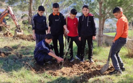 Gazipaşa’da Yeşil Bir Gelecek İçin: Öğrenciler Kendi Zeytinliğini Kurdu.