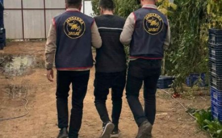 Antalya’da Firari Operasyonu: "Gece Vakti Yağma" Suçundan Aranan Şahıs Tutuklandı