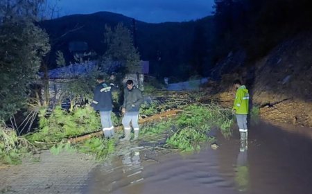 Gündoğmuş'ta durum ciddi! Yağış nedeniyle Çaltı Mahallesi'nde yol ikiye bölündü, yollar heyelan nedeniyle kapalı.