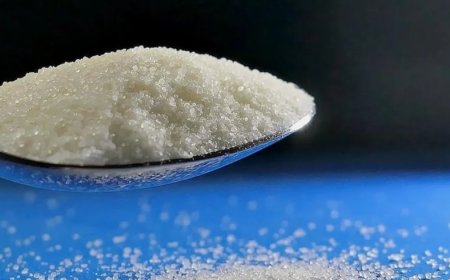 Görünmez Tehlike Büyüyor: İyot Eksikliği Sağlığımızı Nasıl Tehdit Ediyor?