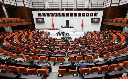 Milli Parklar Kanun Teklifi TBMM’de: İlk Etap Maddeleri Kabul Edildi