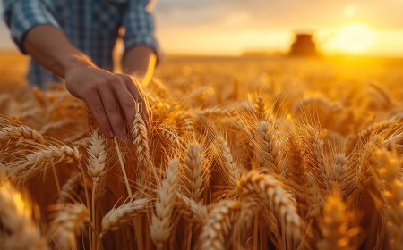 Kredi Faizlerinde Dev İndirim: 28 Farklı Başlıkta Yeni Dönem Başladı!