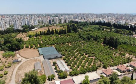 Türkiye Tarım Topraklarının %10’unu, Antalya ise %17’sini Kaybetti