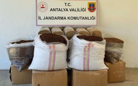 Gazipaşa’da Jandarmadan Kaçak Tütün Darbesi