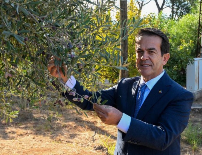 Antalya Zeytinyağında 2035 Vizyonu: 10 Yıllık Yol Haritası Açıklandı