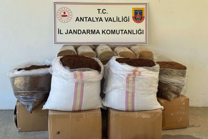 Gazipaşa’da Jandarmadan Kaçak Tütün Darbesi