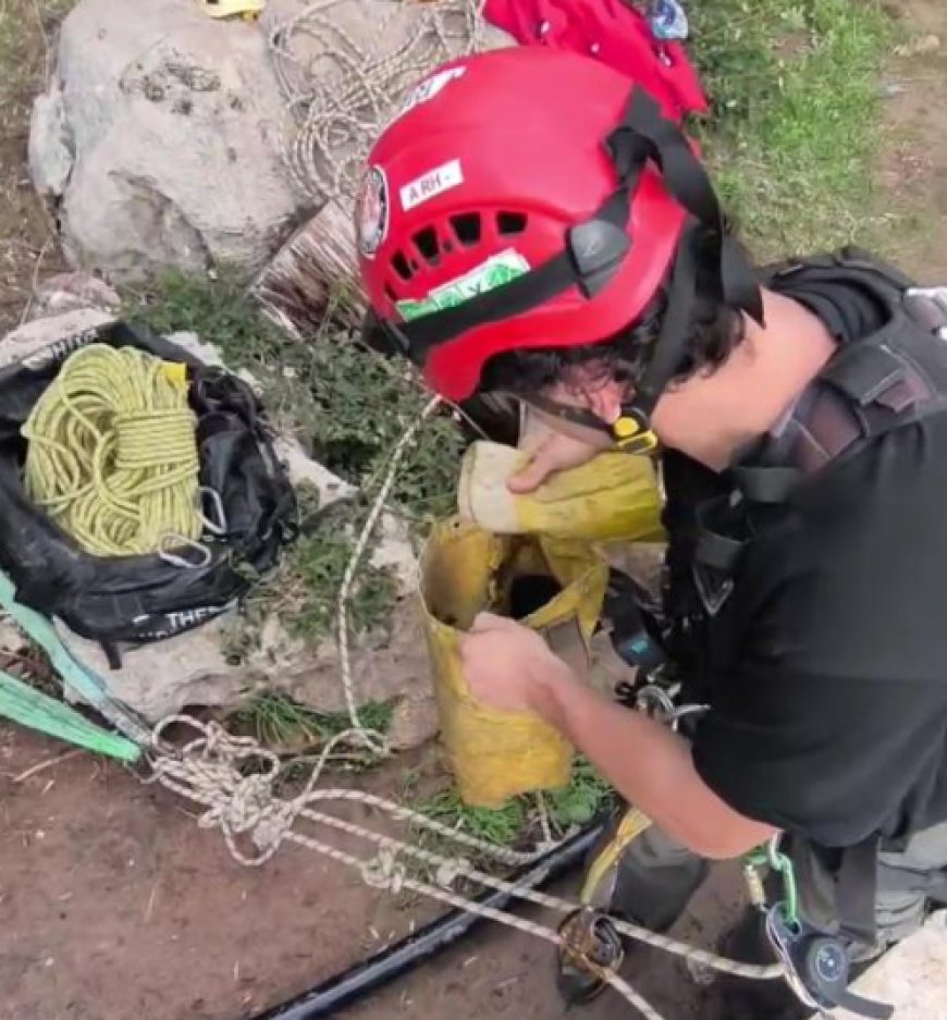 1 Saatlik Titiz Çalışma: 30 Metrelik Falezlerde Mahsur Kalan Kedinin İnanılmaz Kurtuluşu.