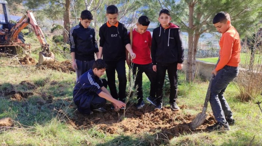 Gazipaşa’da Yeşil Bir Gelecek İçin: Öğrenciler Kendi Zeytinliğini Kurdu.