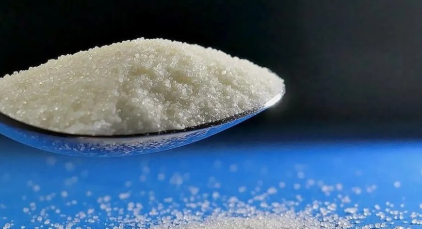 Görünmez Tehlike Büyüyor: İyot Eksikliği Sağlığımızı Nasıl Tehdit Ediyor?