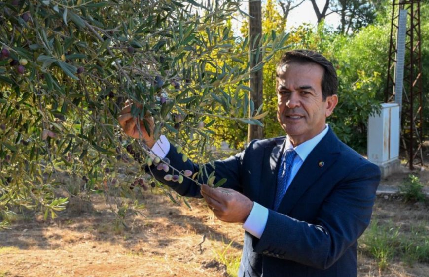 Antalya Zeytinyağında 2035 Vizyonu: 10 Yıllık Yol Haritası Açıklandı