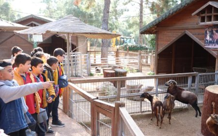 Antalya Doğal Yaşam Parkı’nda Minik Kaşifler: Yaban Hayatını Yerinde Öğrendiler