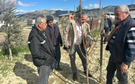 Korkuteli’nde Üreticilere Uygulamalı Budama Eğitimi Verildi