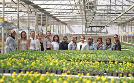 Antalya’ya 3 Bin 324 Kadın Eli Değiyor: Büyükşehir’den 8 Mart Gururu