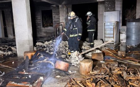 Manavgat Karavca'da Yangın: İtfaiye Hızla Müdahale Ederek Söndürdü