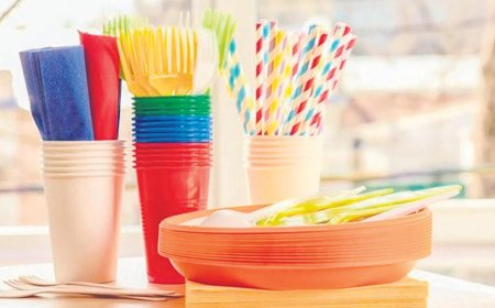 Sıfır Atık Yolunda Dev Adım: Tek Kullanımlık Plastik Devri Resmen Kapanıyor